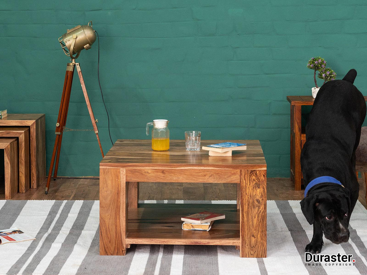 Dudi Furniture Hawkin Solid Wood Square Coffee Table