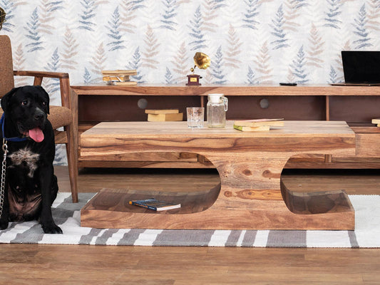 Dudi Furniture Hawkin Solid Wood Modern Coffee Table