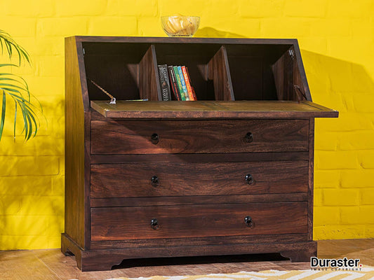 Dudi Furniture Gangaur Modern Solid Wood Chest of Drawers