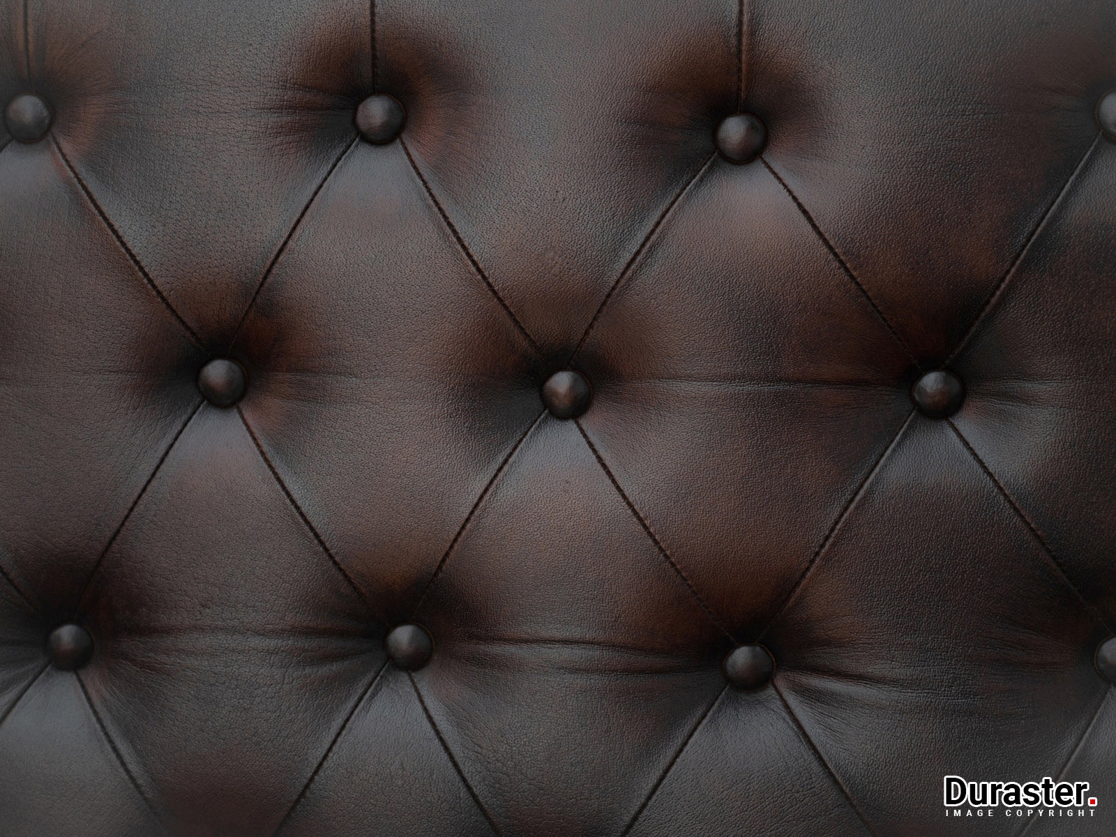 Dudi Furniture Chesterfield Colonial Brown Three Seater Sofas