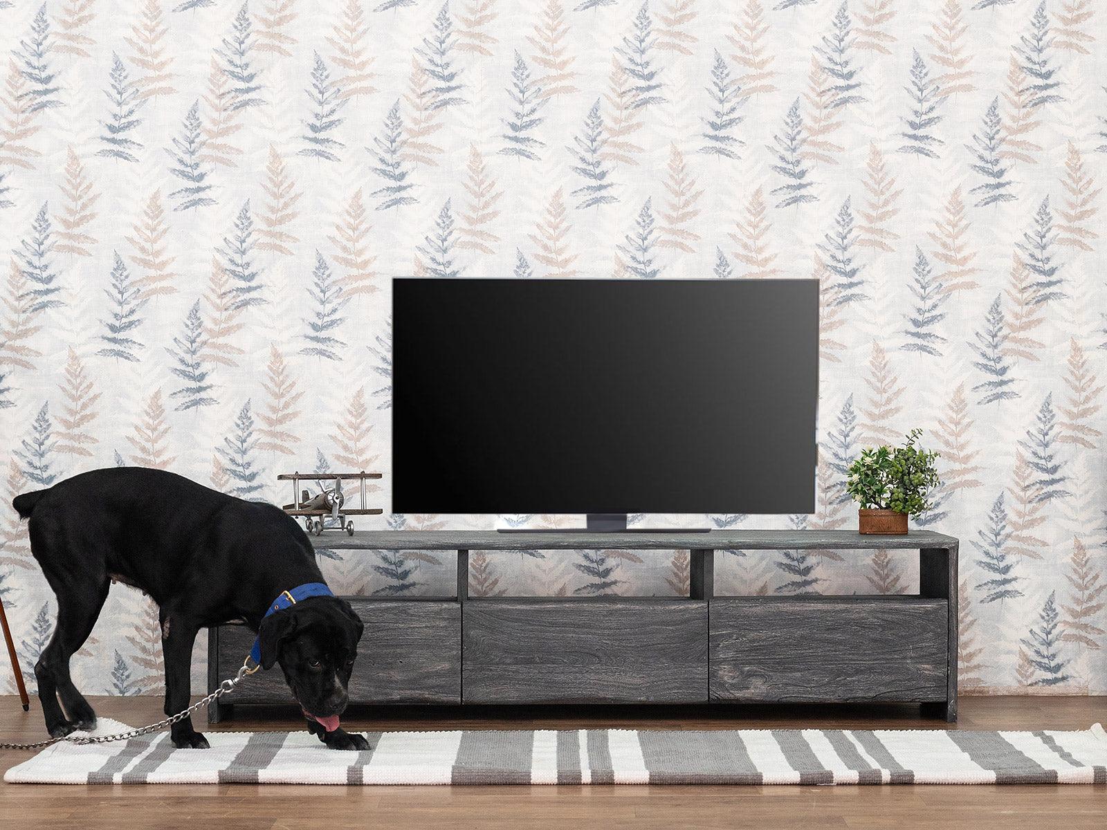 Dudi Furniture Goa Modern TV Unit Cabinet