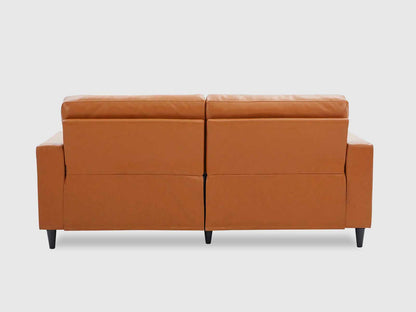 Dudi Furniture Premium Modern Two Seater Leather Sofas