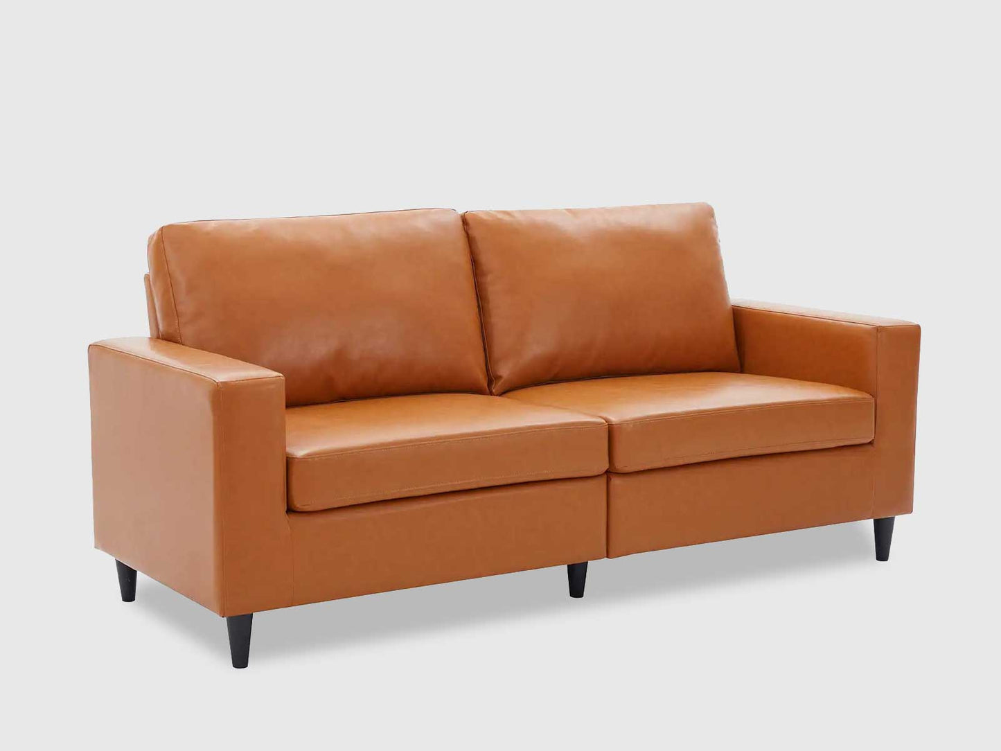 Dudi Furniture Premium Modern Two Seater Leather Sofas