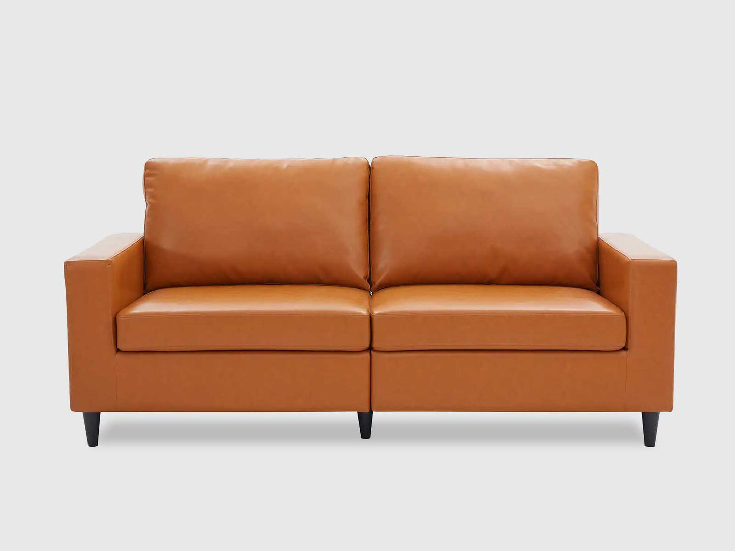 Dudi Furniture Premium Modern Two Seater Leather Sofas