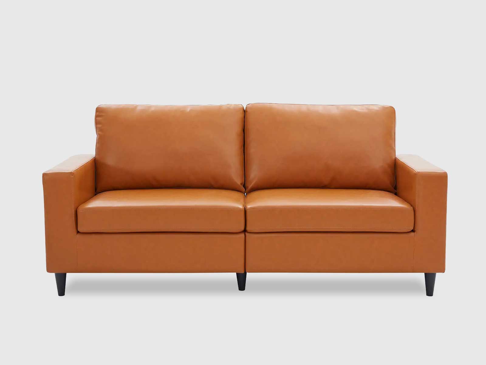 Dudi Furniture Premium Modern Two Seater Leather Sofas