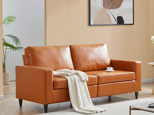 Dudi Furniture Premium Modern Two Seater Leather Sofas