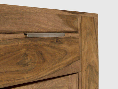 Dudi Furniture Nairobi Sheesham Wood Door Cabinet