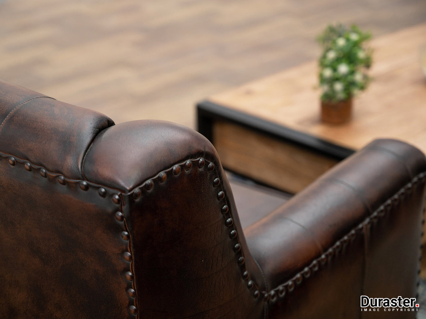 Dudi Furniture Chesterfield Colonial Brown Two Seater Sofa