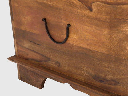 Dudi Furniture Vismit Sheesham wood Coffee Table cum Trunk