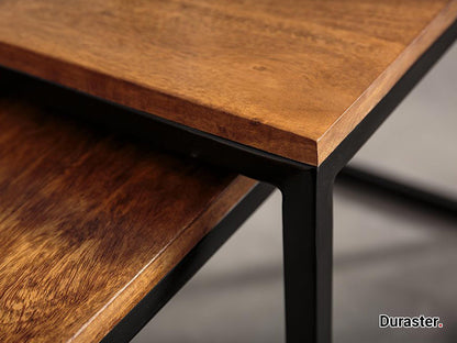 Dudi Furniture Elementary Stylish Sheesham wood Set of 2 Coffee Table