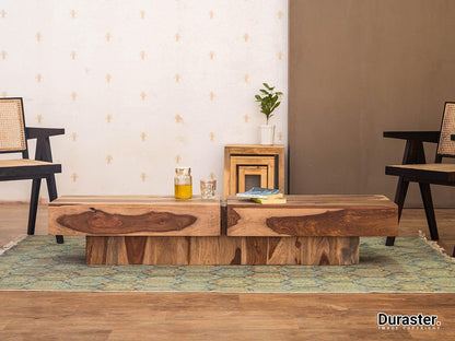 Dudi Furniture Nature Modern Living Room Coffee Table